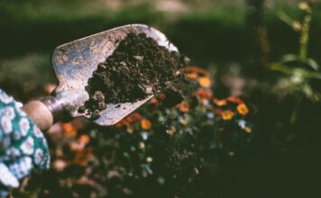 Niezbędne narzędzia do ogrodu