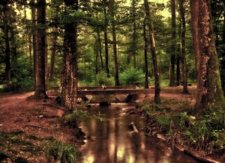 Jak samemu zrobić lustro z szyby?