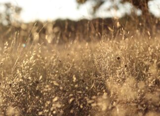 Ile trwa wymiana filtrów w samochodzie?