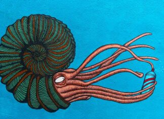 Czy syfon jest potrzebny? Czy syfon jest potrzebny?