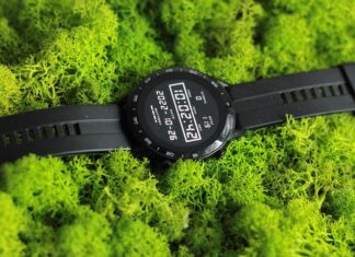 Czy chrobotek pleśnieje?