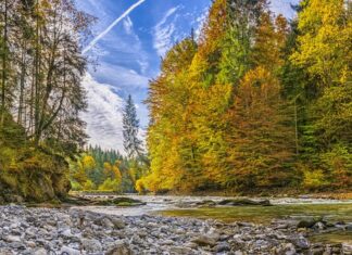 Jak usunąć przebarwienia na zlewie? Jak usunąć przebarwienia na zlewie?