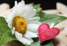 Z czego składa się zacisk hamulcowy?