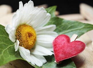 Z czego składa się zacisk hamulcowy? Z czego składa się zacisk hamulcowy?