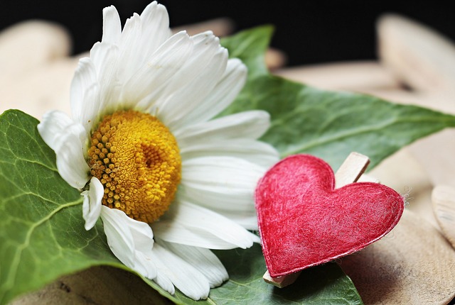 Z czego składa się zacisk hamulcowy? Z czego składa się zacisk hamulcowy?