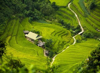 Jaka izolacja pod maty grzewcze?