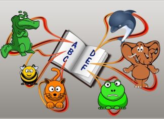 Czy EFB i AGM to to samo?