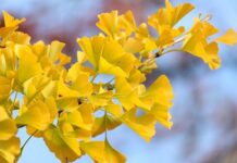 Jaka moc powinien mieć wentylator?