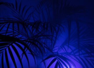 Co to jest PP i PE? Co to jest PP i PE?