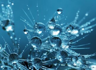 Jak utrzymać czystość w kuchni?