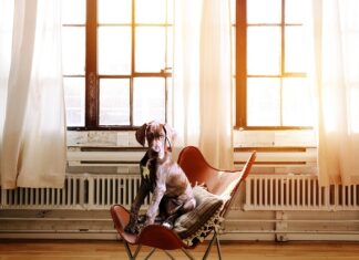 Ile stopni ma kaloryfer na 1?