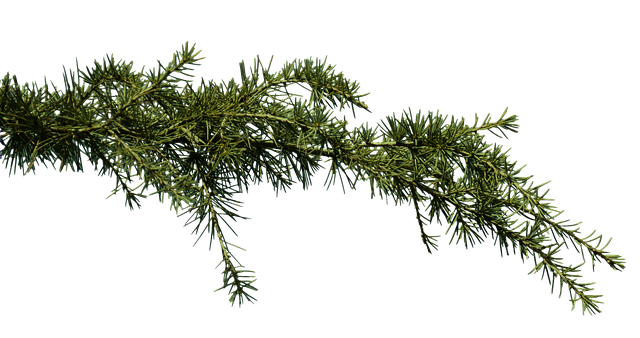 Jakie krople na zatkane uszy? Jakie krople na zatkane uszy?