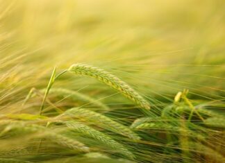 Jak przyciąć wkład do szuflady?