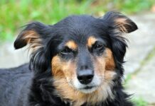 Co pomaga w zasypianiu?