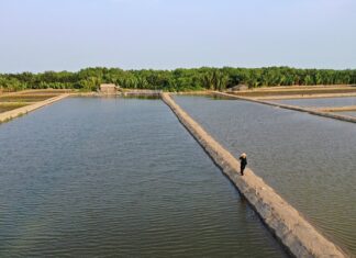 Jak odciążyć stawy kolanowe?