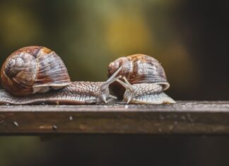 Jak rozpoznać uszkodzony czujnik temperatury?