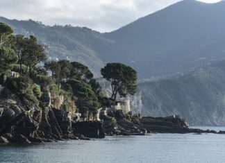 Ile kosztuje drut do migomatu 08?