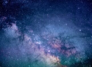 Dlaczego niebieskie palety?