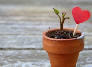 Co zrobić żeby rozciągnąć buty?