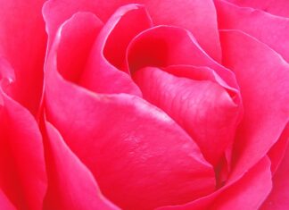 Jak usunąć zacieki na zlewie? Jak usunąć zacieki na zlewie?