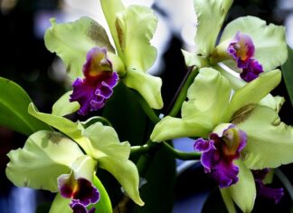 Jaka jest żywotność akumulatora?