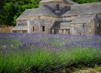 Czy zakon i klasztor to to samo?