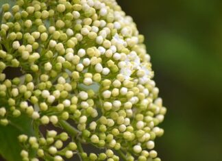 Jak rozpoznać zużyte tuleje wahacza?