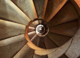 Co dać na dno do klatki świnki morskiej?