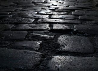 Jakie podłoże pod mech?