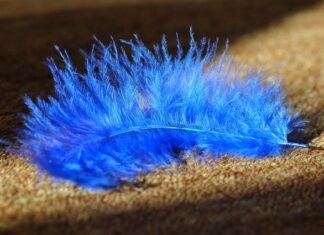 Co jest tańsze wykładzina czy panele?