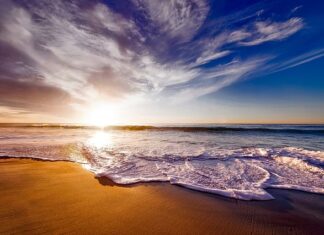 Co oznacza pianka T25?