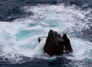 Co to jest cela w akumulatorze?