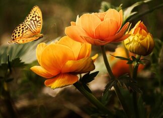 Jak usunąć owady z kurtki motocyklowej? Jak usunąć owady z kurtki motocyklowej?