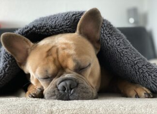 Jak rozgrzać silnik Diesla zima?